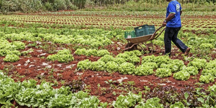 Ceará busca expandir fruticultura em missão na Espanha