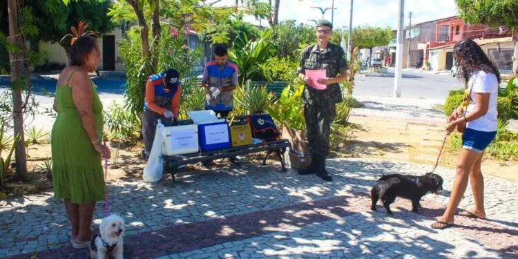 Aracati realiza Dia D da Vacinação Antirrábica nesta sexta-feira (17)