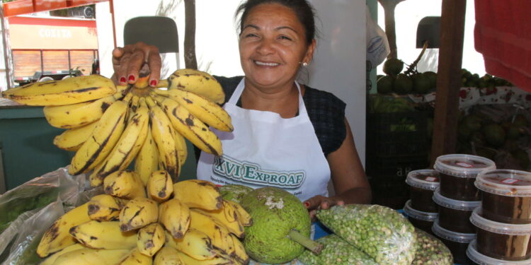 Uece lança chamadas públicas para aquisição de alimentos da Agricultura Familiar, com investimento superior a R$ 1,3 milhão