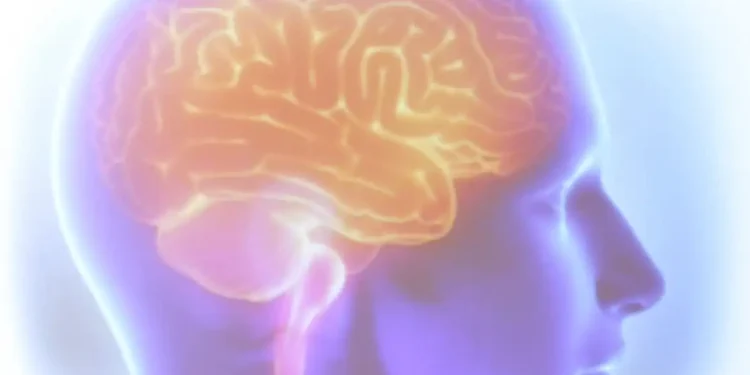 AVC mata uma pessoa a cada seis minutos no Brasil