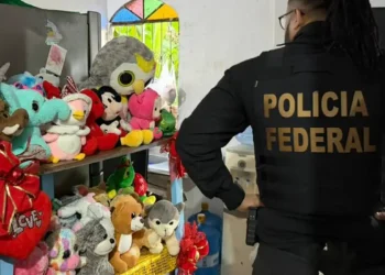 PF deflagra ação no Ceará, em mais 14 estados e no DF contra abuso sexual de crianças