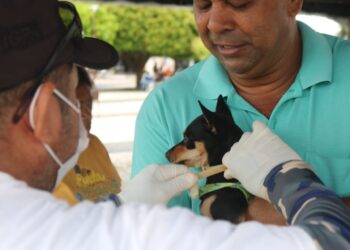 Giro Pet Ceará chega a Aracati com atendimentos na Praça Pet