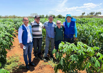 Projeto São José garante energia solar para fortalecer produção agrícola em Aracati