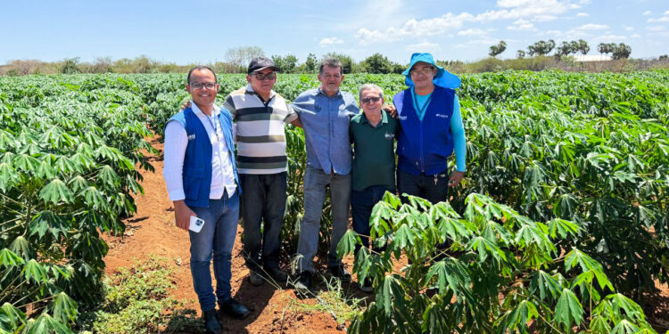 Projeto São José garante energia solar para fortalecer produção agrícola em Aracati