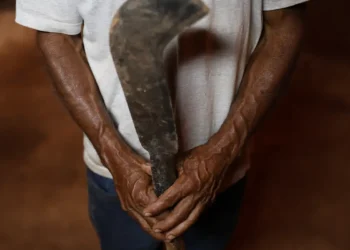 Fronteira Cerrado: desmatamento gera conflitos por terra e grilagem