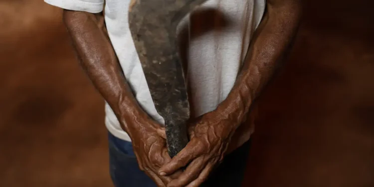 Fronteira Cerrado: desmatamento gera conflitos por terra e grilagem