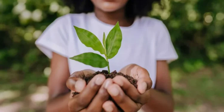 Aracati lança Projeto de Compostagem e abre seleção para bolsistas Universitários