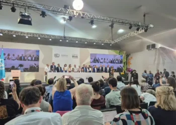 Professor defende que Brasil dê exemplo com Mapa do Caminho