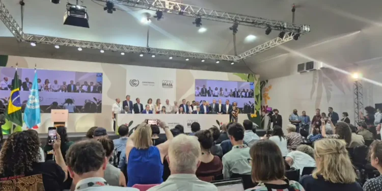 Professor defende que Brasil dê exemplo com Mapa do Caminho