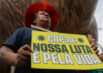 Da Eco92 à COP30: a trajetória de enfrentamento à mudança do clima