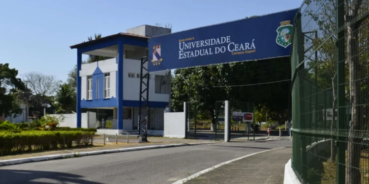 Uece e Dell oferecem 1.500 vagas gratuitas em cursos de IA para Educação