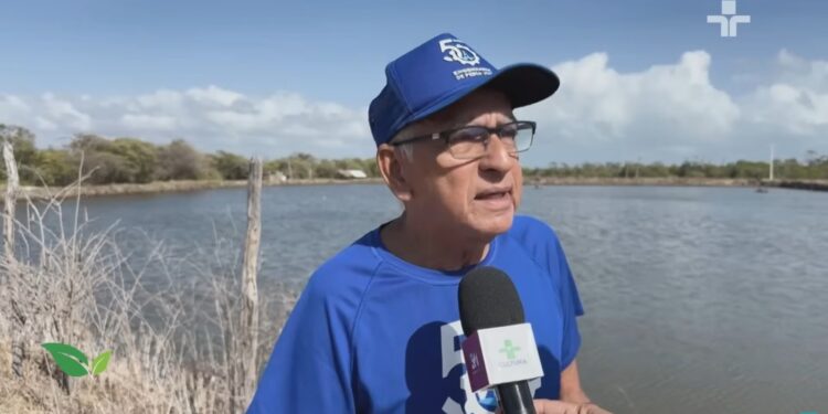 TV Cultura: Programa Agrocultura traz especial sobre a criação de camarão em Aracati produzido pela TV Sinal