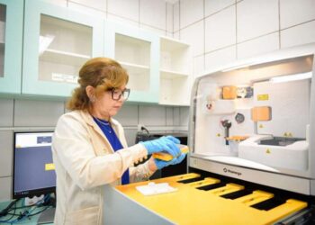 Ceará lidera identificação de pessoas desaparecidas no Brasil