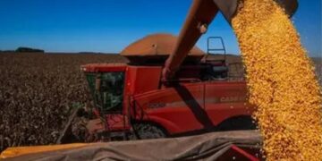 PIB da agropecuária avança 11,7% e contribui para fortalecimento da economia em 2025