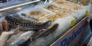 Vigilância Sanitária orienta sobre compra de pescado na Semana Santa