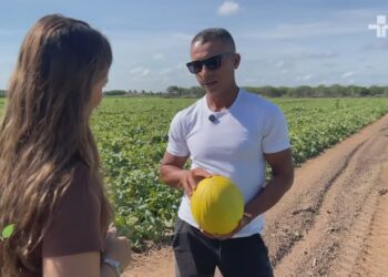 Fruticultura de Aracati é destaque na TV Cultura através de especial produzido pela Sinal