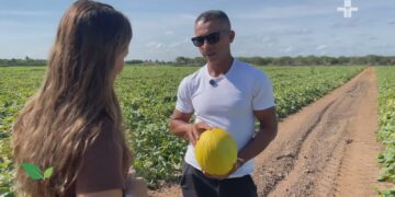 Fruticultura de Aracati é destaque na TV Cultura através de especial produzido pela Sinal