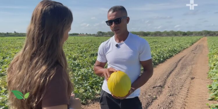Fruticultura de Aracati é destaque na TV Cultura através de especial produzido pela Sinal