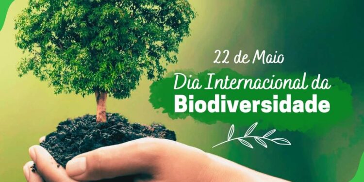 Aracati reforça conscientização ambiental e incentiva descarte correto no Ecoentulho