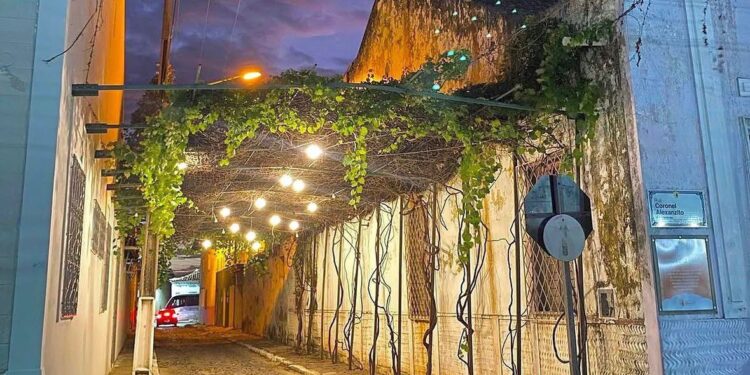 Tendências na sustentabilidade: árvores frutíferas transformam cidades em espaços mais frescos, verdes e humanos