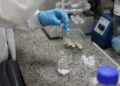 Brasil tem estratégia para ciência, tecnologia e inovação até 2034