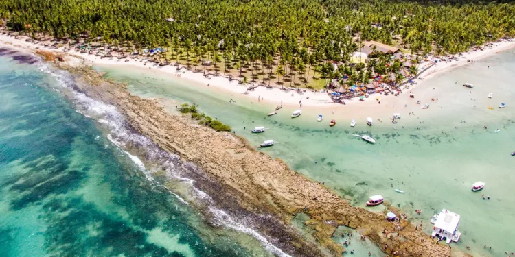 Barulho de barco e de turistas afeta comunicação de peixes, diz estudo