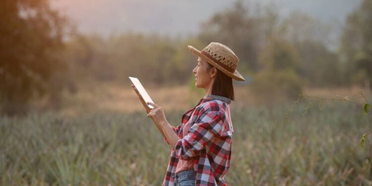 Nordeste lidera expansão do 4G no campo; Ceará soma mais de 470 localidades conectadas