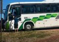Motorista passa mal após ferroada de abelha e desmaia enquanto dirigia ônibus em Beberibe