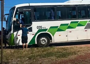 Motorista passa mal após ferroada de abelha e desmaia enquanto dirigia ônibus em Beberibe