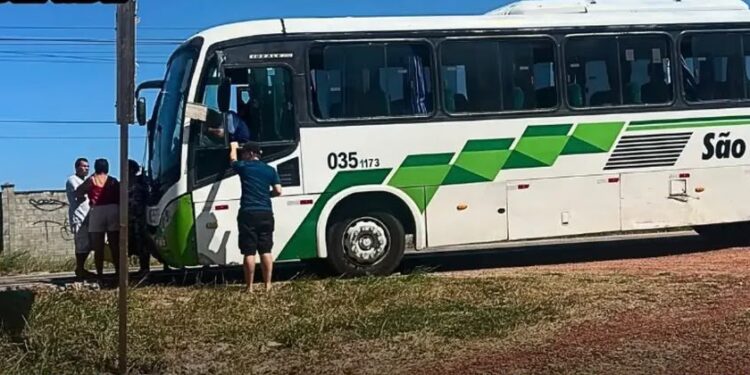 Motorista passa mal após ferroada de abelha e desmaia enquanto dirigia ônibus em Beberibe