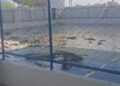 Redemoinho danifica cobertura de quadra esportiva em Itaiçaba; adolescentes estavam no local