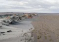 Fungos podem restaurar terras degradadas e combater crise climática