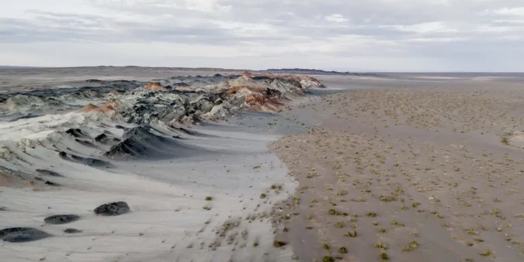 Fungos podem restaurar terras degradadas e combater crise climática