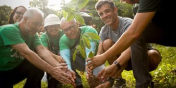 Ibama lança Edital para credenciamento de projetos de recuperação de vegetação nativa