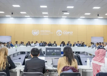 COP17 caminha para novo adiamento de acordo de combate às secas