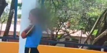 Motociclista leva 40 picadas ao salvar estudante de ataque de abelhas em MG