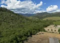 Agricultura ganha 11 milhões de hectares em 41 anos na Mata Atlântica