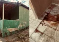 Homem é preso por tentativa de feminicídio após esfaquear ex que queria se mudar para Fortaleza