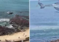 Polícia captura suspeito dentro do mar em Fortaleza